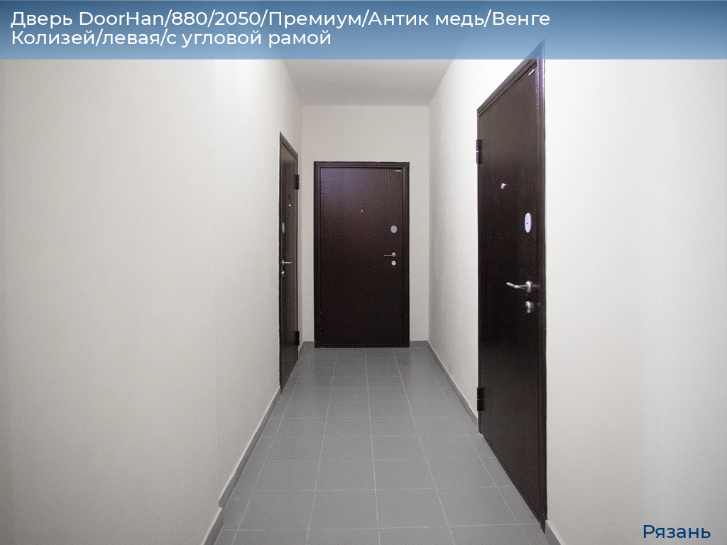 Дверь DoorHan/880/2050/Премиум/Антик медь/Венге Колизей/левая/с угловой рамой, ryazan.doorhan.ru