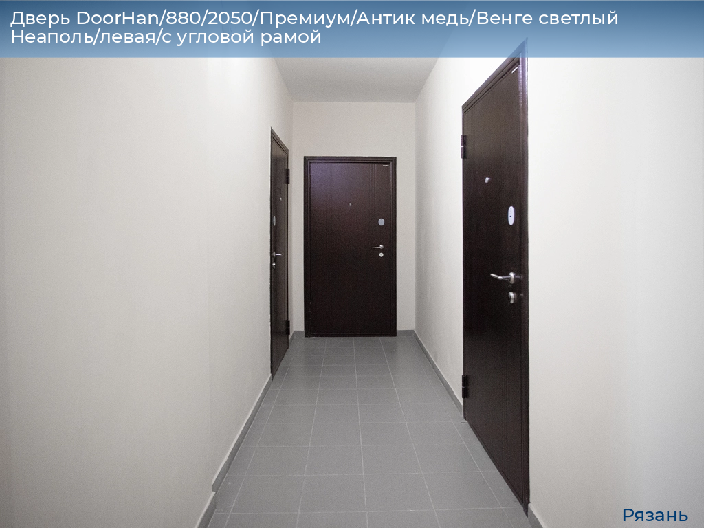 Дверь DoorHan/880/2050/Премиум/Антик медь/Венге светлый Неаполь/левая/с угловой рамой, ryazan.doorhan.ru