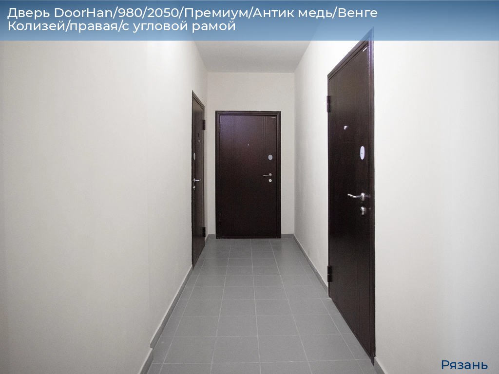 Дверь DoorHan/980/2050/Премиум/Антик медь/Венге Колизей/правая/с угловой рамой, ryazan.doorhan.ru