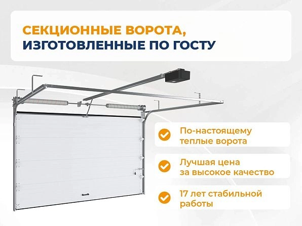 Cекционные ворота 2500х2200 мм белые DoorHan RSD02, ryazan.doorhan.ru